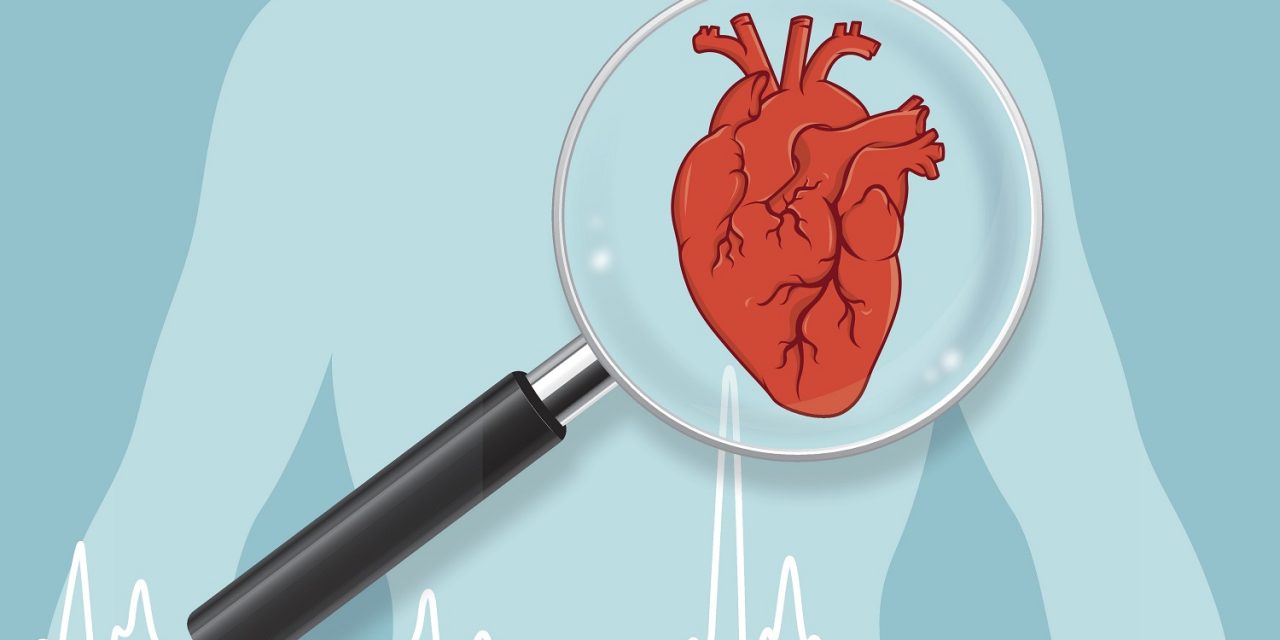 Care sunt factorii de risc pentru bolile cardiovasculare?