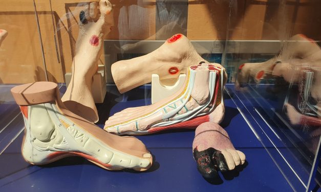 Asociația de Podiatrie din România a fost recunoscută ca membru cu drepturi depline al International Federation of Podiatrists