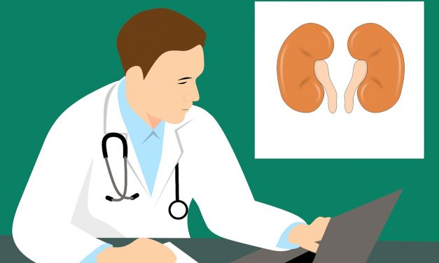 Românii beneficiază de analize gratuite pentru diagnosticarea Bolii Cronice de Rinichi, începând cu 1 iulie