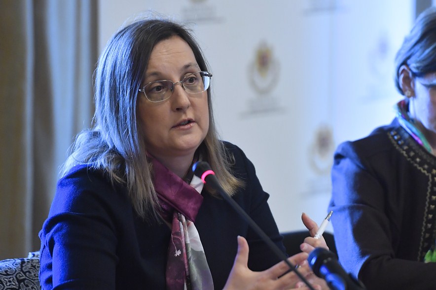 Prof. dr. Cornelia Bala: Aplicarea Testului Michigan de către persoanele cu diabet și prezentarea rezultatelor medicului curant, o oportunitate
