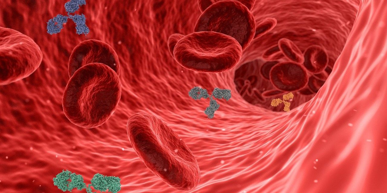 Infecțiile cu coronavirus în obezitate