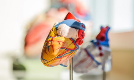 Obezitatea severă slăbește mușchiul inimii la pacienții cu insuficiență cardiacă de tip HFpEF