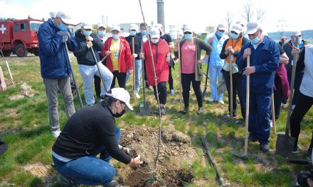 Voluntarii Antibiotice au sărbătorit “Ziua Pământului” plantând oxigen în comunitate
