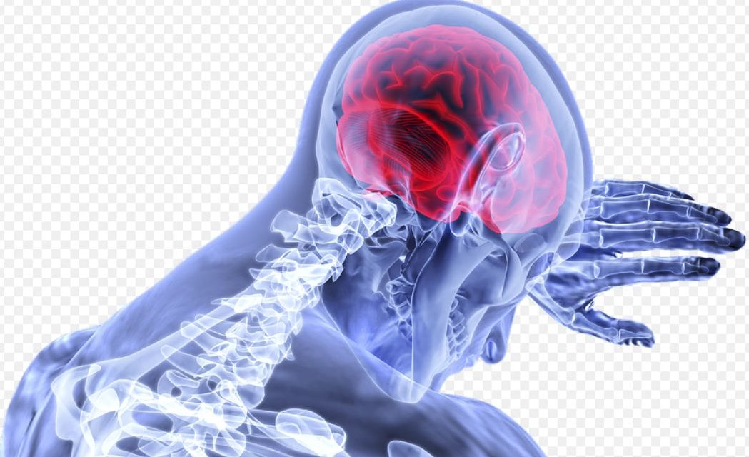 Influența creierului asupra greutății corporale