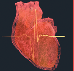 Raport ADA: Insuficiența cardiacă, o complicație subapreciată a diabetului