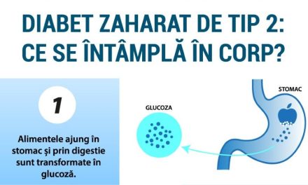 Infografic: Diabet zaharat tip 2, ce se întâmplă în corp?