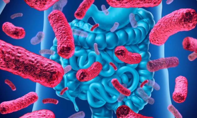 Microbiota intestinală: Sensibilitatea la alimentele procesate variază de la un individ la altul