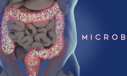 Posibilă alternativă naturală la Ozempic, descoperită în microbiomul intestinal