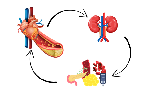 Sindromul cardio-reno-metabolic – abordare profilactică a pacientului cronic